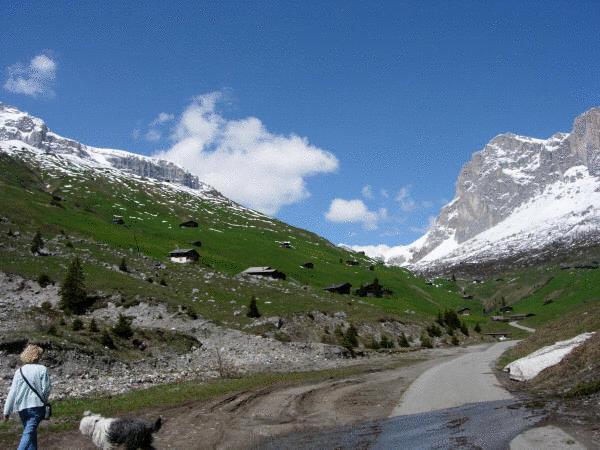 Hotel Madrisajoch Sankt Antönien Dış mekan fotoğraf